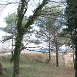 Vendégház Auf Der Duene Heringsdorf