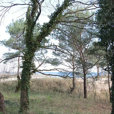 Guest house Auf Der Duene Heringsdorf (Usedom)