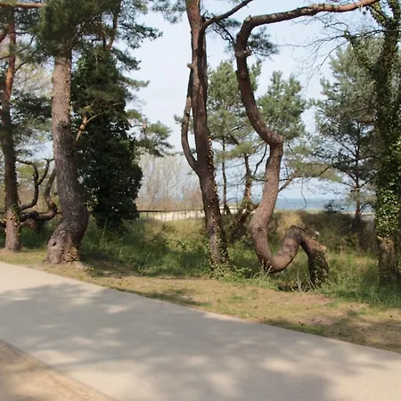 Auf Der Duene ゼーバート・ヘリングスドルフ