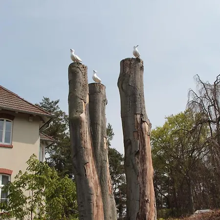 ゲストハウス Auf Der Duene