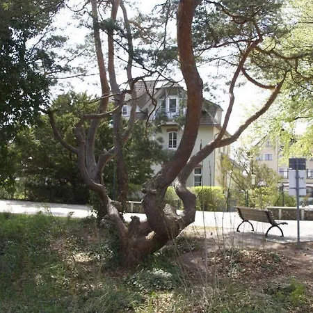 ゲストハウス Auf Der Duene ゼーバート・ヘリングスドルフ